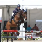 sportkonie_2